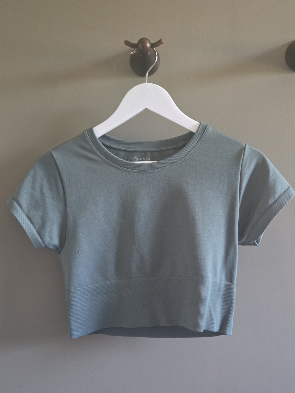 aerie Short Sleeve Crop Top in Sage Green